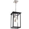 Black and Brushed Nickel Outdoor Pendant Light Fixture, Exterior Chandelier Hanging Lantern for Front Porch